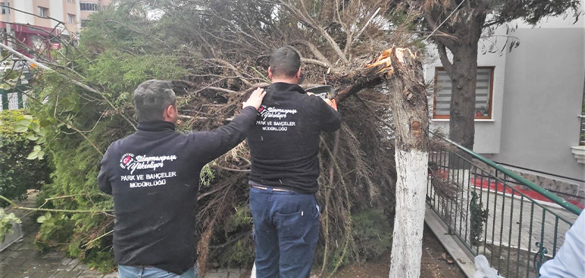 Süleymanpaşa Belediyesi lodosun yaralarını sarıyor