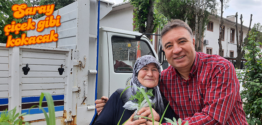 Saray Belediyesi Kadife Çiçeği Dağıttı