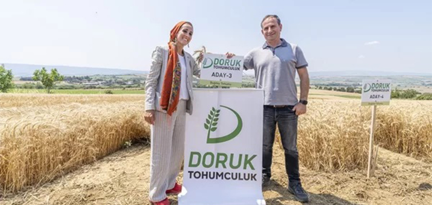 DORUK UN YERLİ VE MİLLİ ATA TOHUM ÇEŞİTLERİ İLE YÜZDE 20 VERİM ARTIŞI HEDEFLİYOR